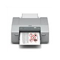 Epson ColorWorks GP-C831 Printers C11CC68A9971