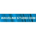 Wavelink Studio Software 110-LI-STSU50